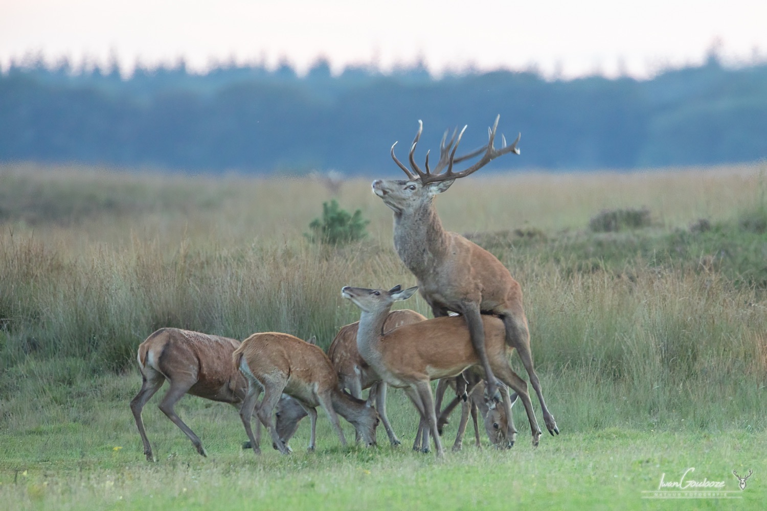 24 september 2023 193436  R2A7278 bewerkt